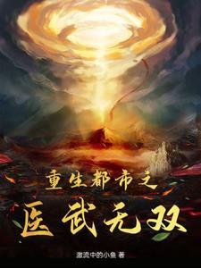 都市医武双绝