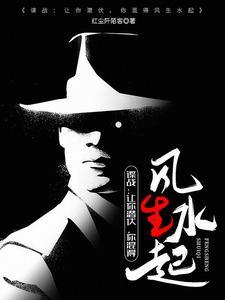 谍战上海滩免费全文