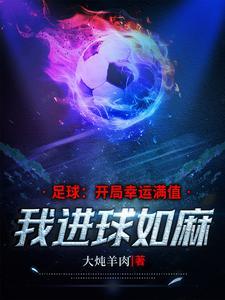 球门几米