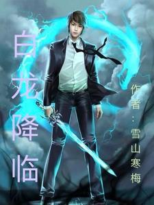 殿主插手