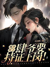 肆爷要持证上岗! 第407章