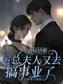 协议结婚总裁文