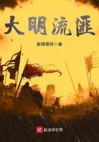 大明流匪大结局是什么