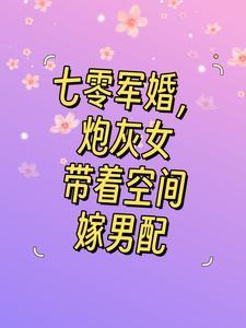 七零空间军嫂文