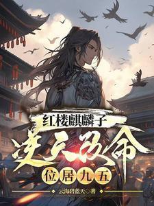 红楼之王家麒麟儿 作者神秘小仙全文阅读
