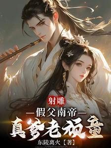 射雕英雄传之南帝北丐电影完整版