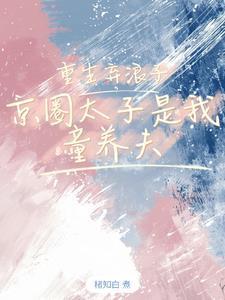 弃少重生之京城大太子