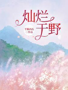 灿烂余晖