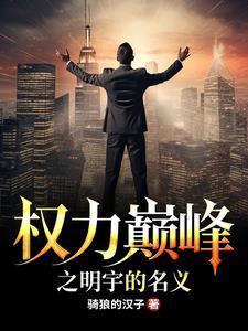 权力巅峰之明宇的名义王洪涛