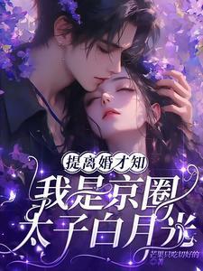 提离婚才知