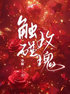 触碰玫瑰百度免费阅读