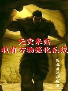 我有灾难系统