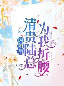闪婚贵妻免费阅读网