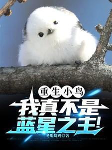 重生小鸟