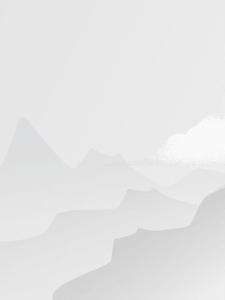 喵呜. cn