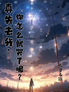 我真的失去了你 歌词