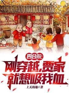 重生四合院贾