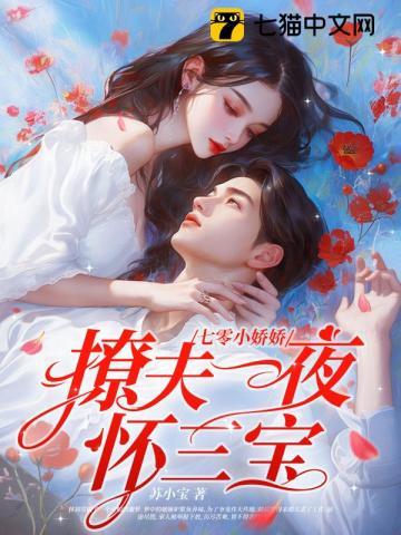 新婚一夜怀三宝