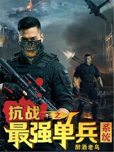 穿越抗战之单兵系统