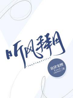 林夏陆沉全文免费阅读