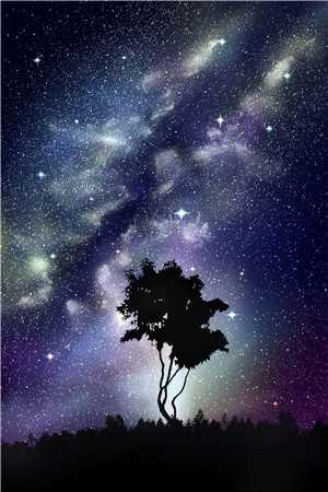 陆御深免费阅读