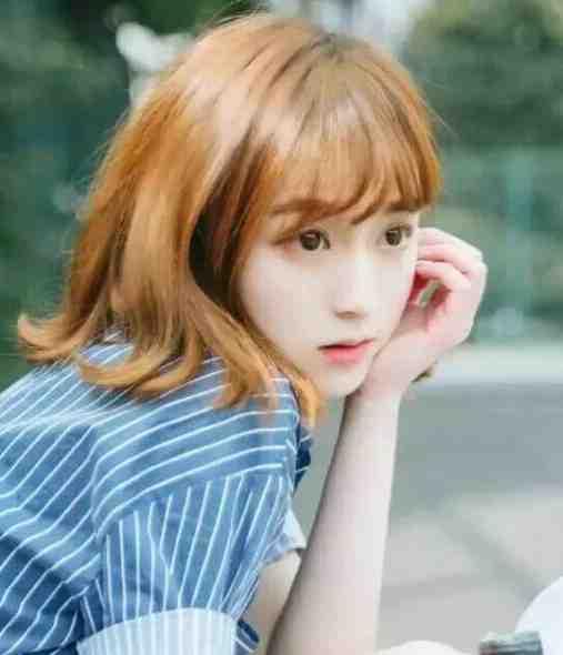 女主苏晚男主陆庭尧