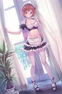 窦虹简历