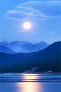 夜清清