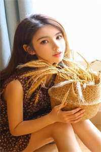 女主人叫叶秀的