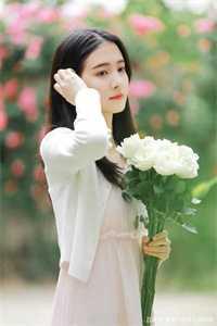 萧闵城苏青虞林舒婉