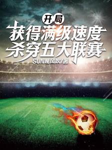 开局就满级的