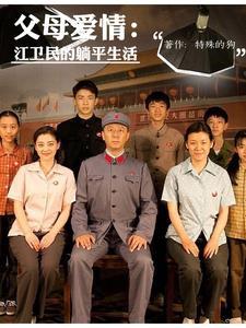 父母爱情观后感