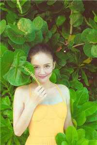 张莲心是谁的女儿