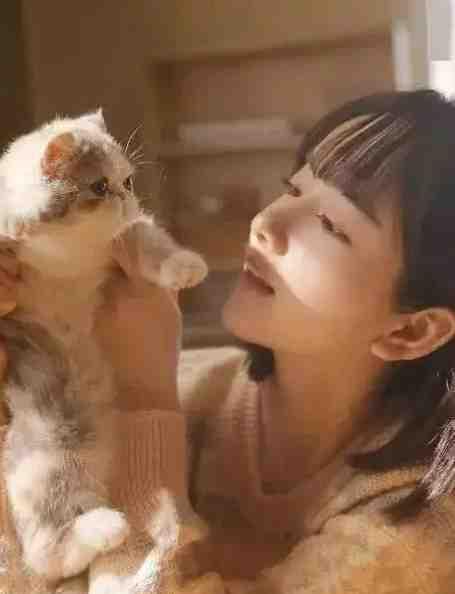 主角叶鑫