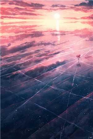 沈彻