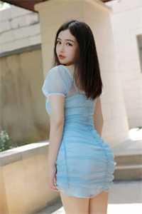 陈风是什么电视