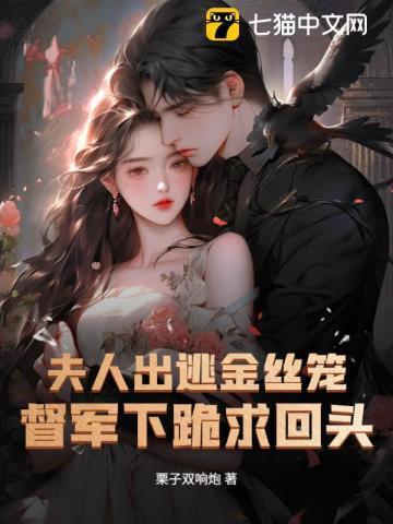 夫人逃了全文阅读