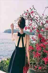 虞夏什么意思