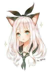 白光莹个人资料