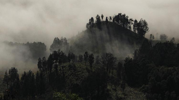 段珀 by尼罗