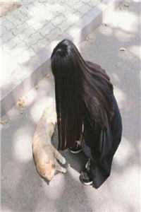 女主叫苏念男主叫顾以衍的