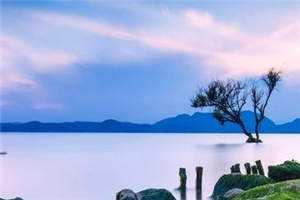 秦昊秦海璐合作过吗