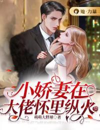 赵泽什么