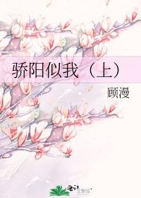 骄阳似我·上 简介