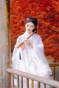 云渊苏兮颜