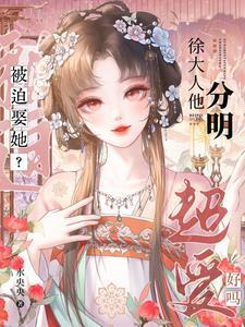 徐大先生