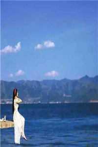 许温如陆黎川在线阅读
