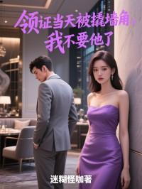 林暖傅怀安全文免费阅读笔趣阁