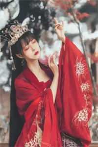 主人公 叶枫
