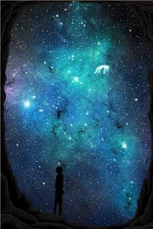 冷星宇是谁